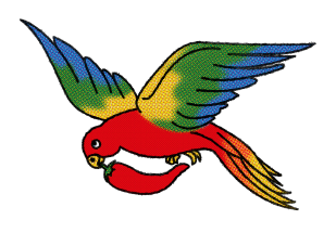 Parrot flying